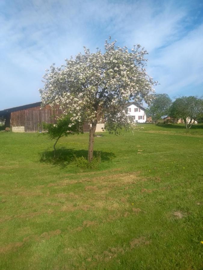 La Maison De Pescate Souprosse 外观 照片
